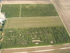 an aerial view of a farm field with the words thank you written in large letters