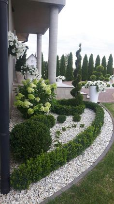 an outdoor garden with white flowers and green plants in the center, surrounded by rocks