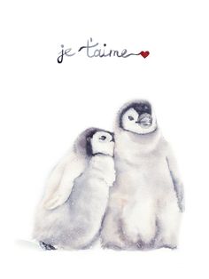 two penguins standing next to each other in front of a white background with the words je taine written on it