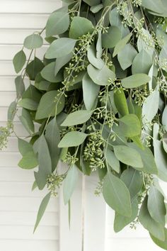 a bunch of green leaves hanging from the side of a white door with greenery on it