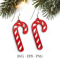 two red and white candy canes are hanging from a christmas tree