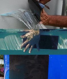 a man is holding a water hose over the top of a blue box with a cat in it