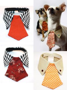 there are many different types of ties on this page, including one with a dog in it