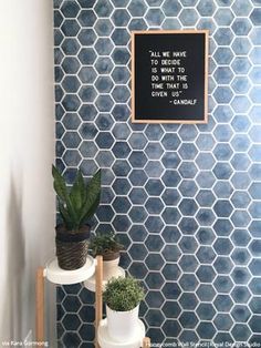 two potted plants sit on shelves in front of a blue tiled wall