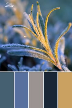 the color scheme is blue, yellow and gray with some green leaves on top of it