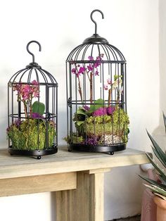 two bird cages with plants in them sitting on a table