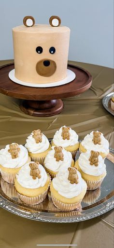 cupcakes with white frosting and brown teddy bears on top sit in front of a cake