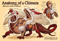 the anatomy of a chimera bird with its parts labeled in english and spanish