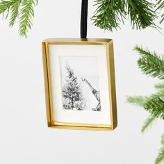 an ornament hanging from a christmas tree with a black and white photo on it