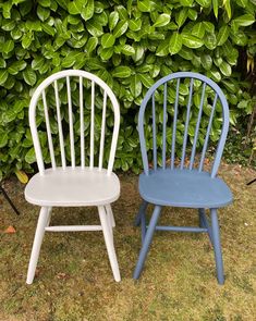 two blue and white chairs sitting next to each other in front of a bush with green leaves