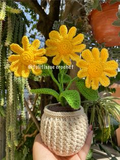 a crochet potted plant with yellow flowers in it is being held by a hand