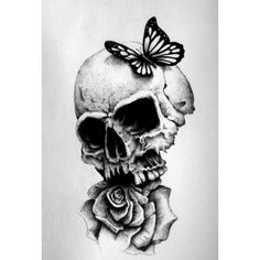 a drawing of a skull with a butterfly on it's head and a rose in the foreground