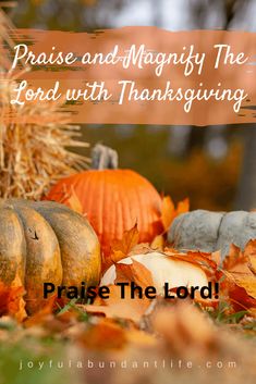 pumpkins and hay bales with the words praise and magnify the lord with thanksgiving