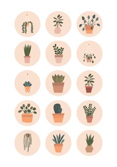 various potted plants in different shapes and sizes on a pink circle with white background