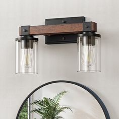 a bathroom mirror with two lights and a potted plant