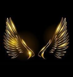 two golden wings on a black background