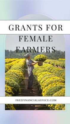 a woman picking flowers in a field with text overlay that reads, grains for female farmers