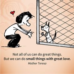 a cartoon drawing of a man looking at a dog through a window with the caption not all of us can do great things, but we can do small things with great love