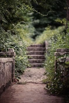 the stairs lead up to the trees and bushes