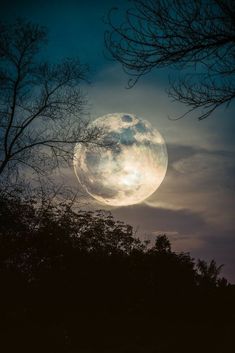 the full moon is seen through some trees in front of a dark sky with clouds