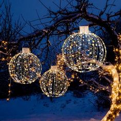 christmas lights are hanging from the branches of a tree