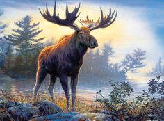 a moose standing on top of a field next to trees and bushes in the fog