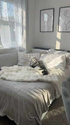 a dog laying on top of a bed in a room with white walls and windows