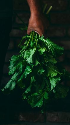 a person holding bunches of green leafy vegetables