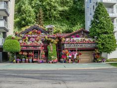 a house covered in flowers and plants next to tall buildings