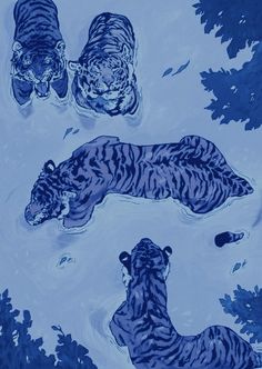 three blue tigers swimming in the water