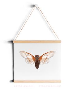 an insect is hanging on the wall with a wooden frame and string attached to it