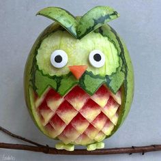 an owl made out of watermelon sitting on a branch