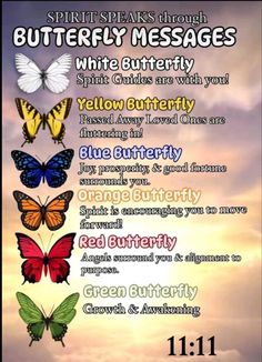 Heaven Facts, Butterfly Messages, Butterfly Meaning, Spirit Signs, Spirit Messages, Spiritual Awakening Signs, Curated Content, Animal Spirit Guides, Butterfly Quotes