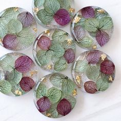 six glass plates with different colored leaves on them