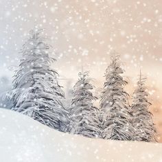 the snow is falling and there are trees in the foreground with blurry background