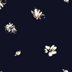 white flowers on a dark blue background