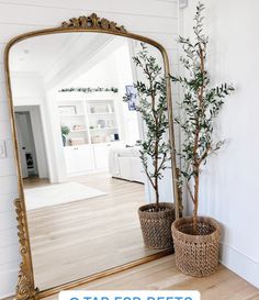 a large mirror sitting on top of a wooden floor next to a potted plant