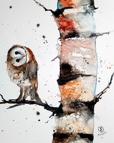 an owl sitting on top of a tree branch