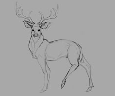 a drawing of a deer with antlers on it's head