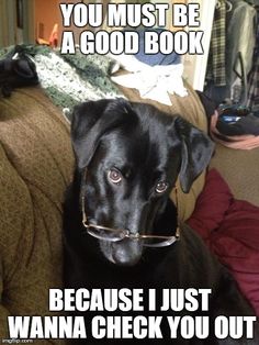 a black dog sitting on top of a couch next to a book shelf with the caption did you return your books late? because you got fine written all over you