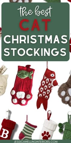 the best cat christmas stockings for cats