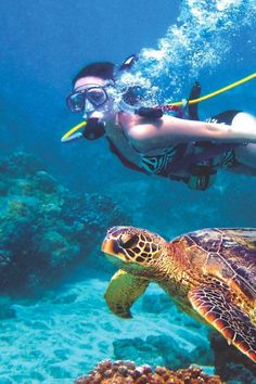 a woman snorgles over a turtle in the ocean with her scuba gear on