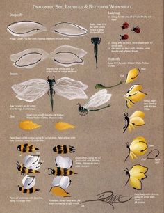 an insect identification poster with many different types of bugs and insects on it's sides