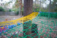 there is a green and yellow net next to a tree