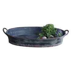 an oval metal tray holds a plant and rocks on the bottom, along with two handles