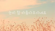 the words are written in korean on top of some tall grass with small red flowers