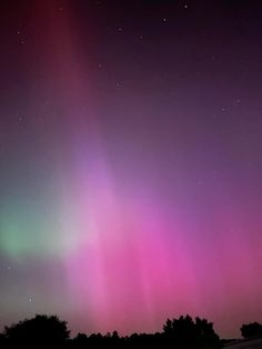 the aurora lights shine brightly in the night sky above some trees and grass, with dark purple hues