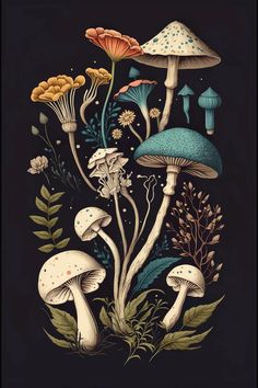 an illustration of mushrooms and plants on a black background, with the words'i love you