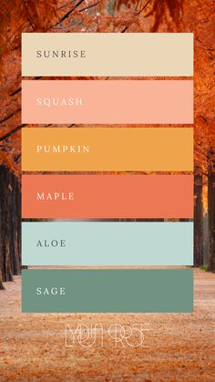 Dive into the nostalgic vibes of our Rainbow Autumn Retro Colour Palette! This moodboard, featuring Green, Teal, Red, Orange, Peach, and Cream, perfectly captures the essence of a vintage autumn. Ideal for small business branding or weddings, these rich, harmonious hues evoke warmth and timeless charm. Imagine retro-inspired invitations, cozy decor, and branding materials that stand out with their unique blend of vibrant and classic tones. October Palette, October Color Palette, Retro Colour Palette, Color Palette Fall, Autumn Color Palette, Rainbow Retro, Colour Pallets, Aesthetic Orange, Designer Branding