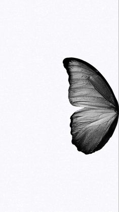 a black and white photo of a butterfly